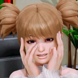 Harem Hotel APK Icon